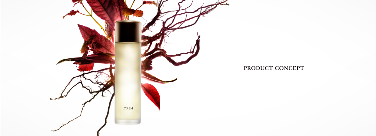 Product Concept