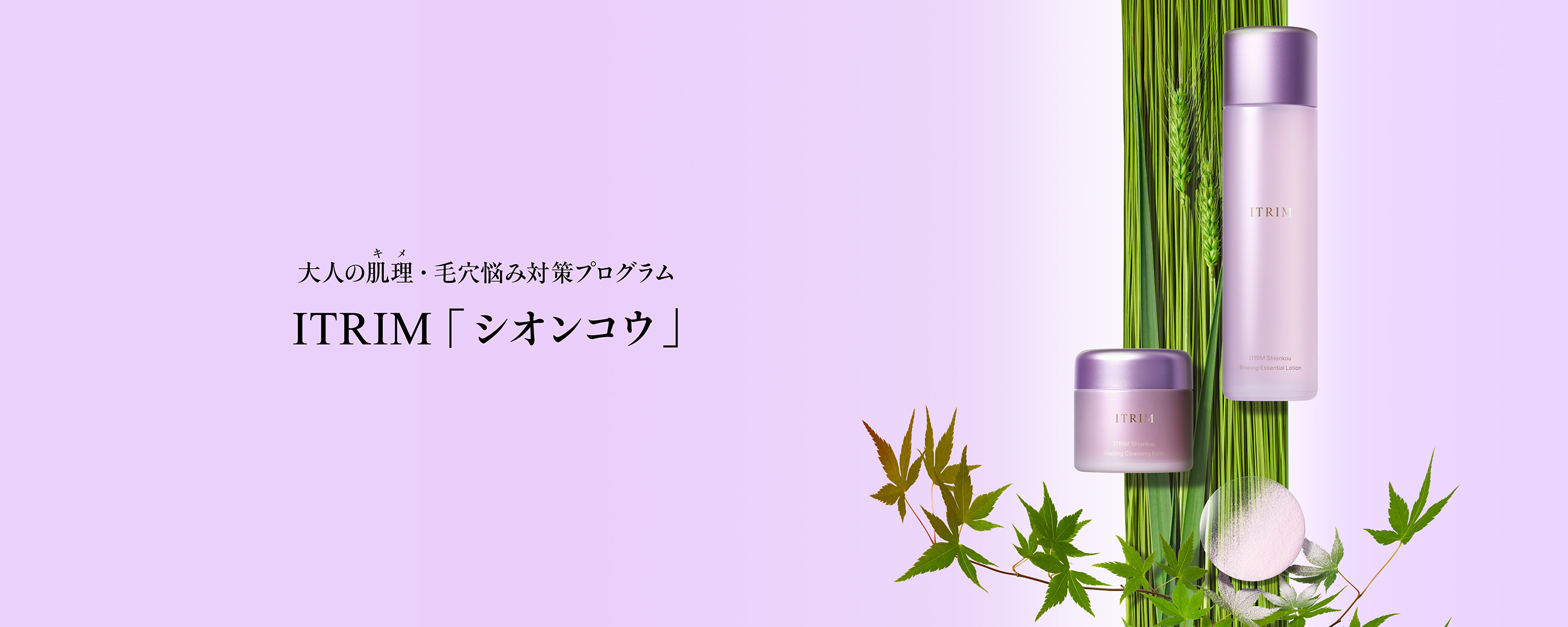 大人の肌キ理メ・毛穴悩み対策プログラムITRIM「シオンコウ」